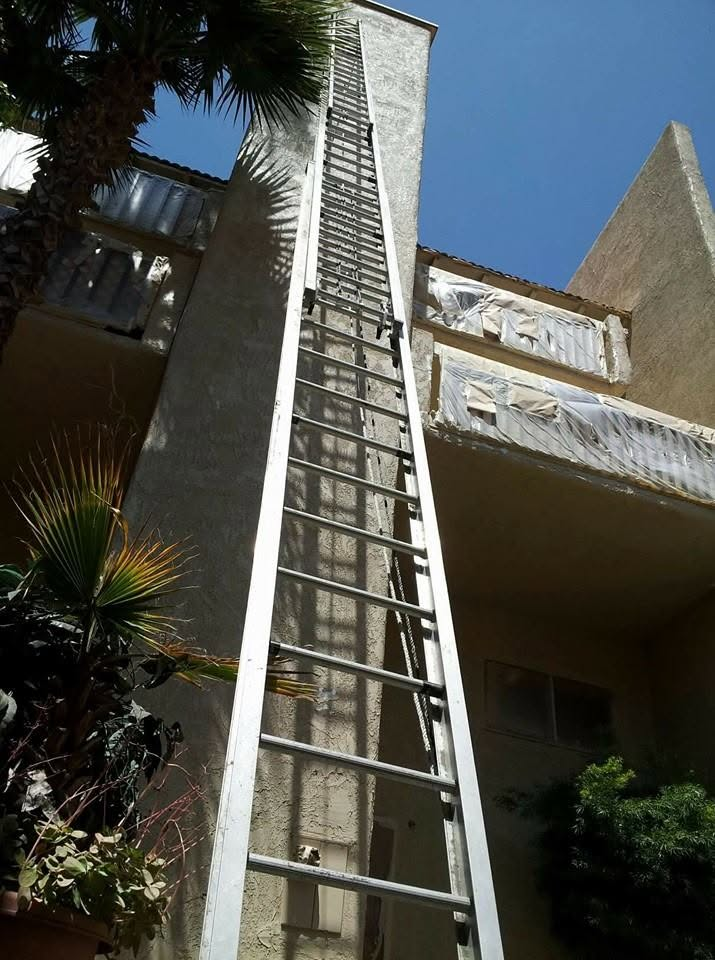 Exterior metal ladder mounted on weathered concrete building wall with palm tree and clear blue sky