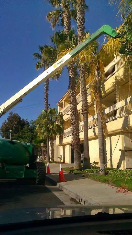 Green and white hydraulic lift bucket truck at residential building with palm trees